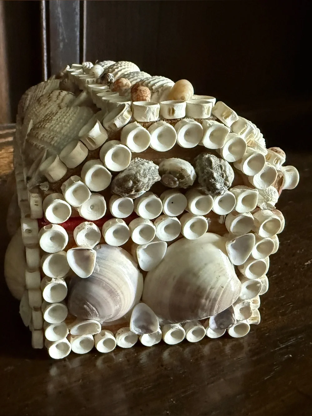 Seashell Decorative Trinket Box with Red Lining